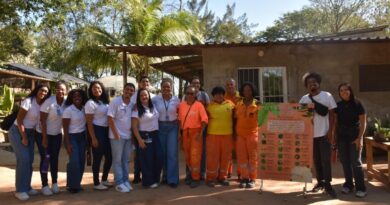 Futuros enfermeiros aprendem sobre plantas medicinais em viveiro da Clin