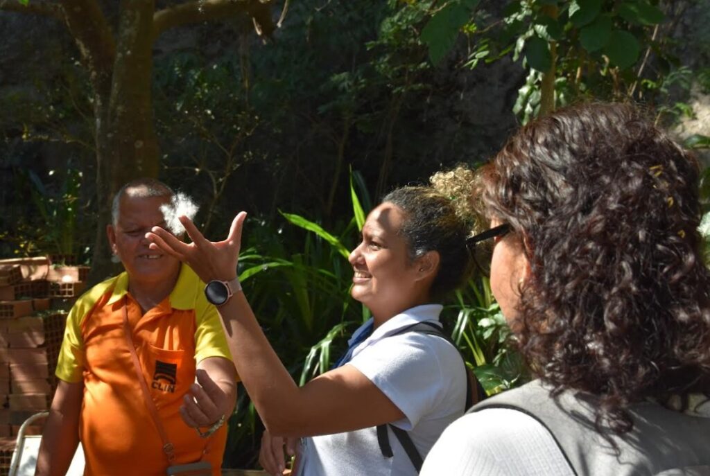 Futuros enfermeiros aprendem sobre plantas medicinais em viveiro da Clin