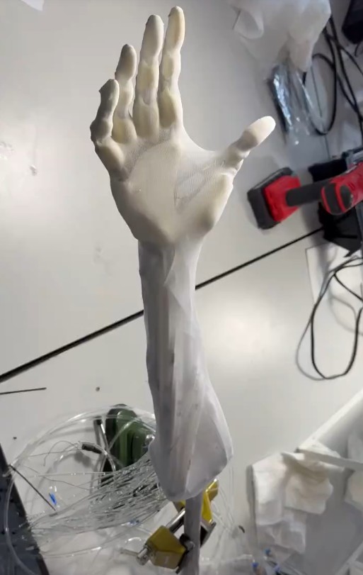 Robô super-realista usa microfibras e já imita força humana