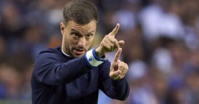 Botafogo anuncia Martín Anselmi como novo técnico até 2027