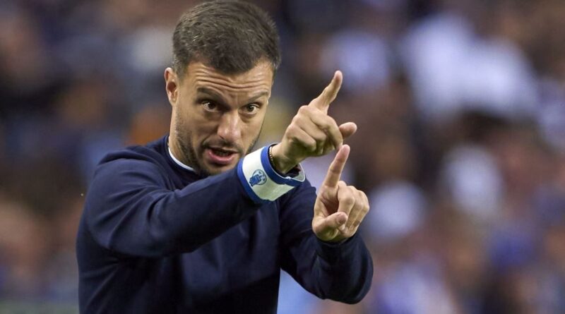 Botafogo anuncia Martín Anselmi como novo técnico até 2027