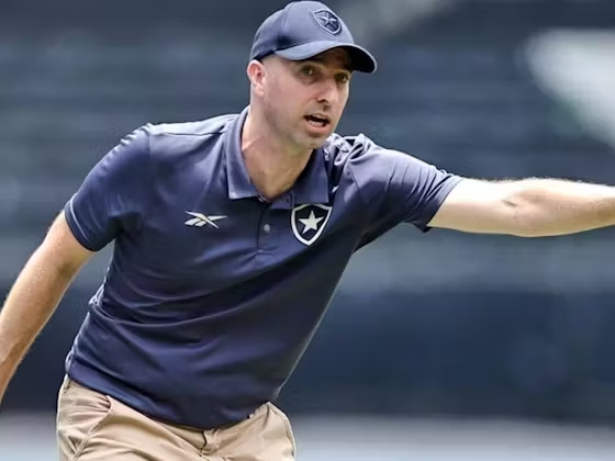 Botafogo demite Anselmi após sequência irregular